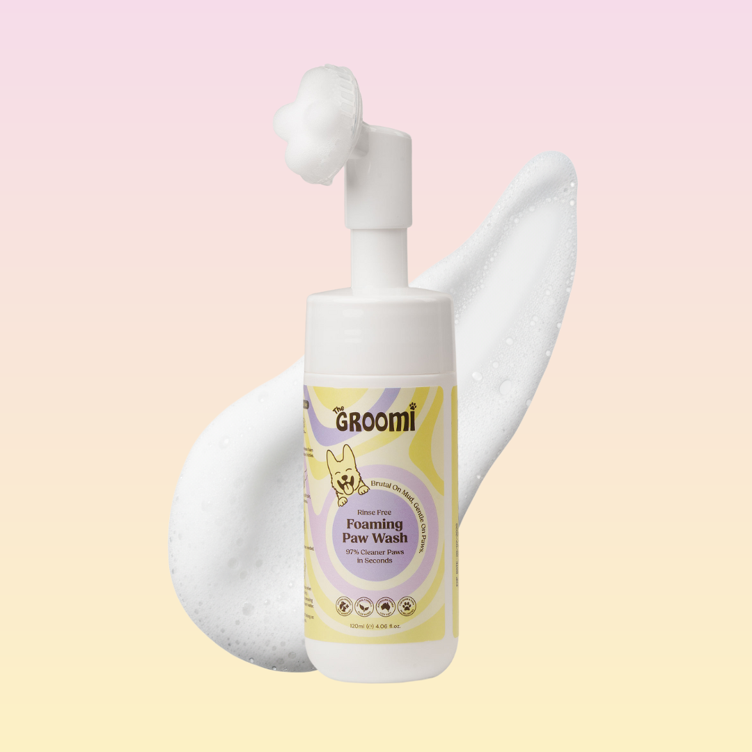 THE GROOMI: CleanPaws Foaming Paw Wash — no-rinse dog paw cleaner, foaming soap-free formula, removes mud dirt odor after walks, quick mess-free clean, gentle hypoallergenic, moisturising, safe for puppies, travel-friendly 120ml, pet grooming essentials.