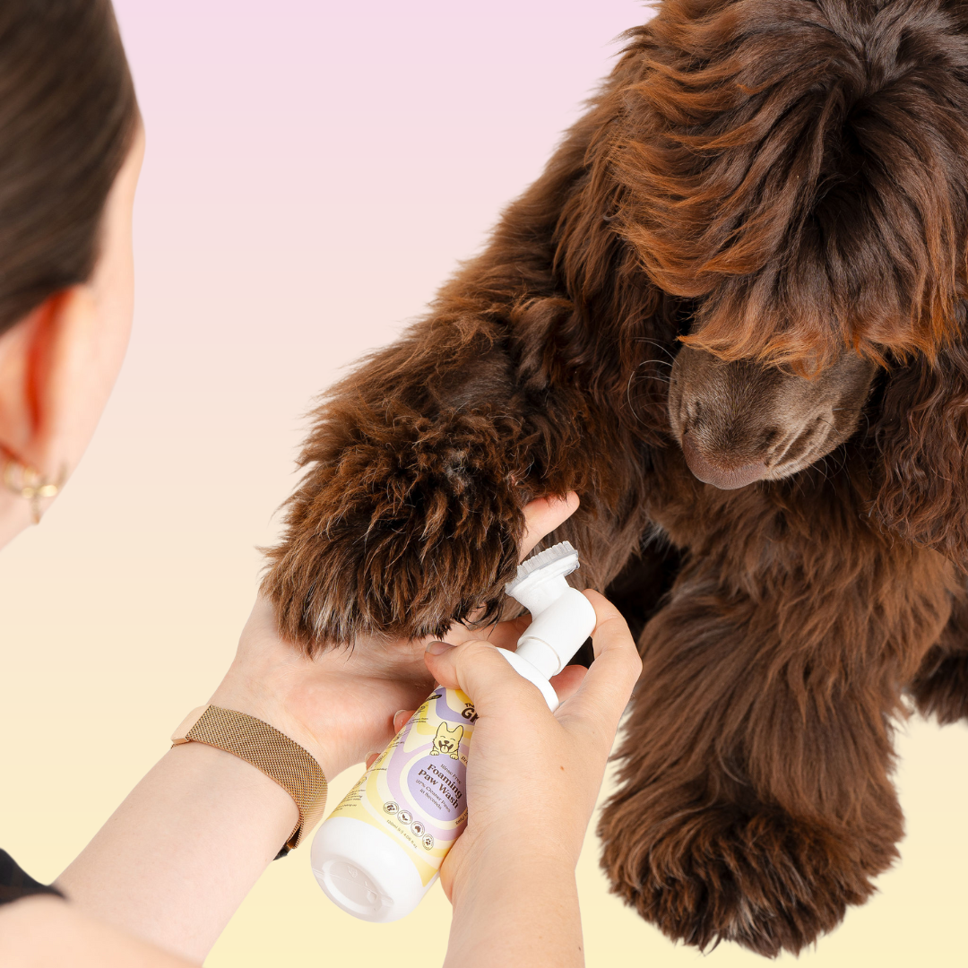 THE GROOMI: CleanPaws Foaming Paw Wash — no-rinse dog paw cleaner, foaming soap-free formula, removes mud dirt odor after walks, quick mess-free clean, gentle hypoallergenic, moisturising, safe for puppies, travel-friendly 120ml, pet grooming essentials.