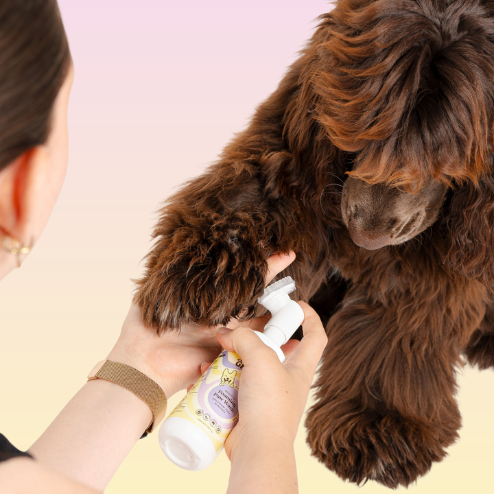 THE GROOMI: CleanPaws Foaming Paw Wash — no-rinse dog paw cleaner, foaming soap-free formula, removes mud dirt odor after walks, quick mess-free clean, gentle hypoallergenic, moisturising, safe for puppies, travel-friendly 120ml, pet grooming essentials.