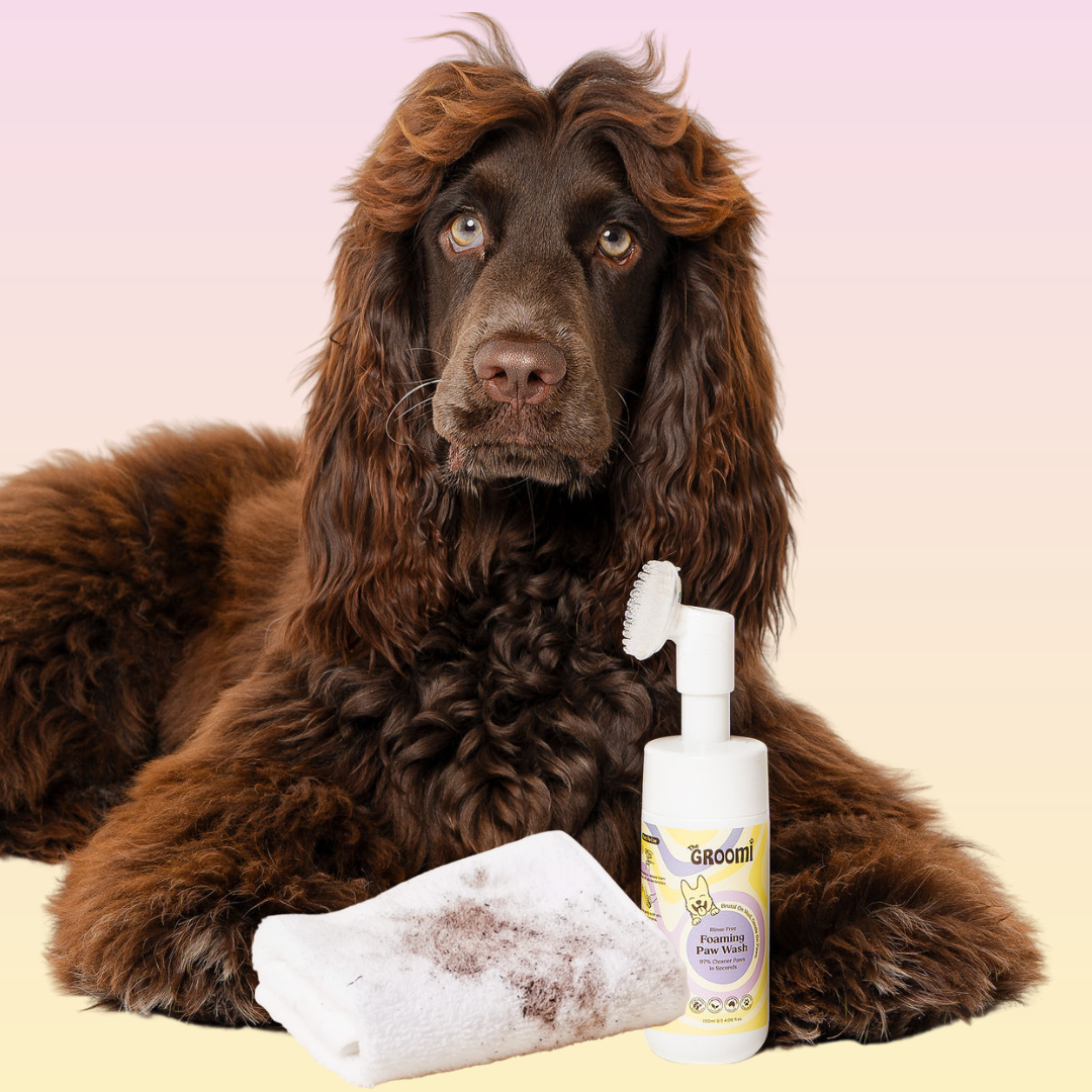 The GROOMI: dog paw wash, foaming paw cleanser, no-rinse dog wash, paw cleaner foam, muddy paw remover, GROOMI paw wash, waterless paw shampoo, dog foot cleaner, pet paw care, rinse-free foam