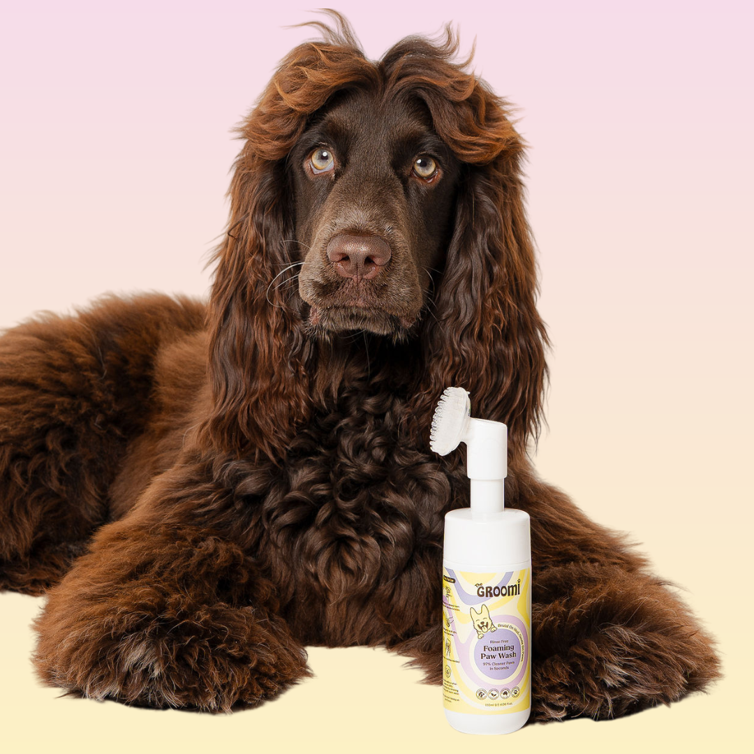 THE GROOMI: CleanPaws Foaming Paw Wash — no-rinse dog paw cleaner, foaming soap-free formula, removes mud dirt odor after walks, quick mess-free clean, gentle hypoallergenic, moisturising, safe for puppies, travel-friendly 120ml, pet grooming essentials.