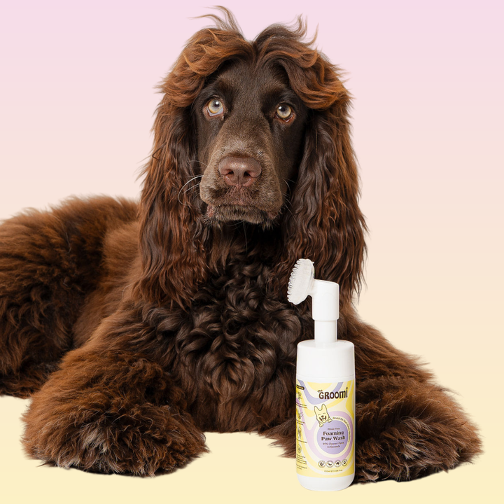 THE GROOMI: CleanPaws Foaming Paw Wash — no-rinse dog paw cleaner, foaming soap-free formula, removes mud dirt odor after walks, quick mess-free clean, gentle hypoallergenic, moisturising, safe for puppies, travel-friendly 120ml, pet grooming essentials.