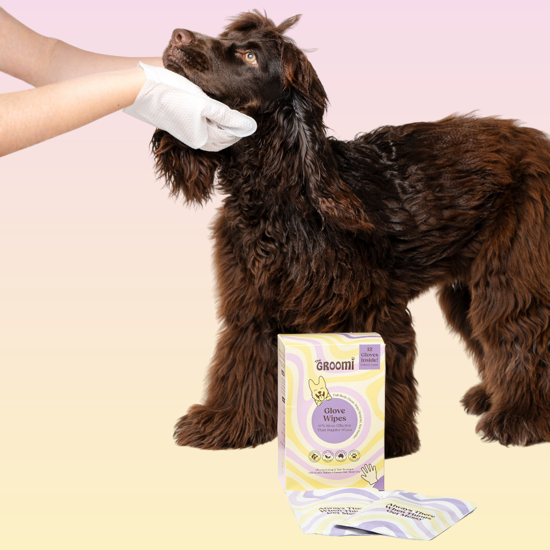 THE GROOMI: Groomi Glove Wipes — glove-shaped pet cleaning wipes, rinse-free full-body clean, removes dirt and odor, durable soft non-tearing, individually sealed, hydrating, hypoallergenic, for dogs & cats, travel friendly, quick cleanup between baths, grooming essentials.