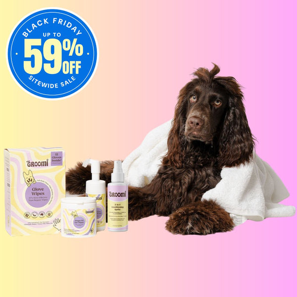 The GROOMI No-Bath Bundle for dogs: Glove Wipes, 3-in-1 Conditioning Spritz, Foaming Paw Wash and Finger Fit Ear Wipes. A waterless dog grooming kit that cleans the coat, paws and ears and leaves fur soft and fresh, with no bath needed. Great for dogs who hate bath time.
