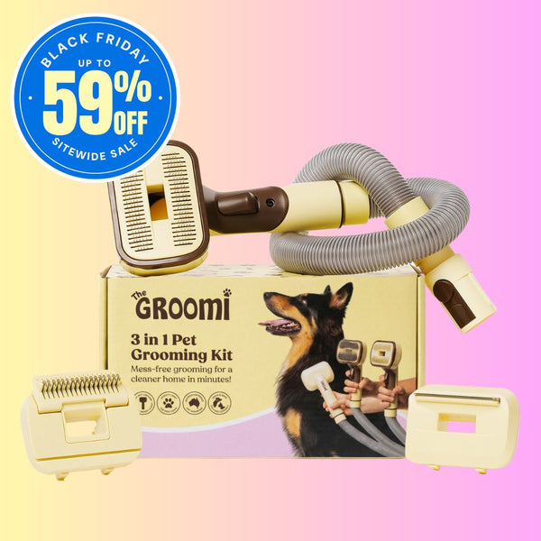 THE GROOMI: GROOMI 3-in-1 Vacuum Pet Brush Kit — self-cleaning dog grooming brush, slicker rake deshed heads, fits any vacuum up to 45mm, removes loose fur, mess-free de-shedding, for short medium long coats, reduces shedding allergies, at-home grooming tool.