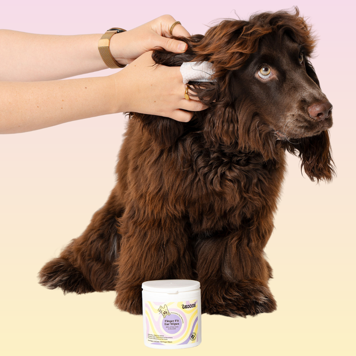 THE GROOMI: GROOMI™ Ear Wipes — dog & cat ear cleaning wipes, finger-shaped textured, removes wax dirt odor, gentle witch hazel rosemary, hypoallergenic, vet-approved, mess-free, 50 pack, prevents infections, pet grooming, sensitive ears, fast easy at-home care.