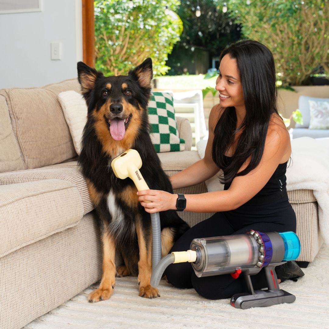THE GROOMI: GROOMI 3-in-1 Vacuum Pet Brush Kit — self-cleaning dog grooming brush, slicker rake deshed heads, fits any vacuum up to 45mm, removes loose fur, mess-free de-shedding, for short medium long coats, reduces shedding allergies, at-home grooming tool.