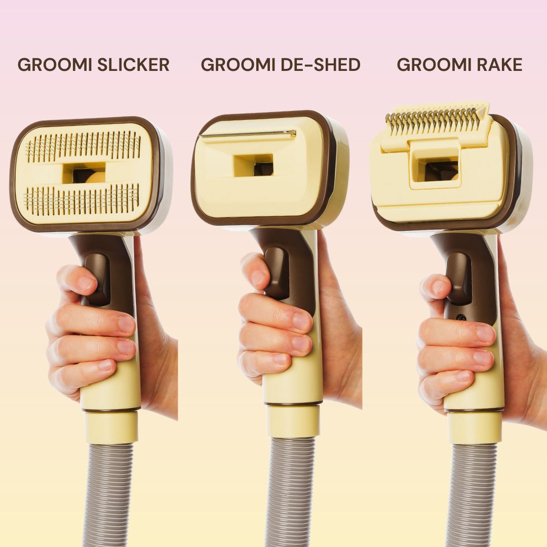 THE GROOMI: GROOMI 3-in-1 Vacuum Pet Brush Kit — self-cleaning dog grooming brush, slicker rake deshed heads, fits any vacuum up to 45mm, removes loose fur, mess-free de-shedding, for short medium long coats, reduces shedding allergies, at-home grooming tool.