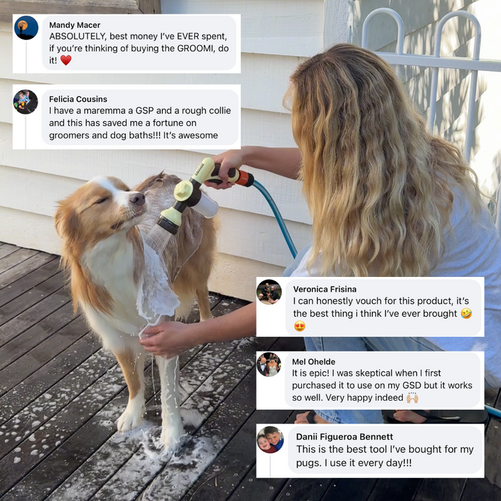 THE GROOMI: Hydro Hound — dog wash hose sprayer with foaming soap bottle, attaches to garden tap, adjustable spray, fast deep clean, removes mud and loose fur, mess-free bath, all breeds, at-home grooming, durable leak-proof fittings, saves time and water.