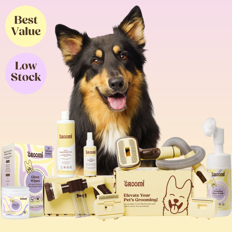 THE GROOMI: Ultimate GROOMI Bundle — 3-in-1 vacuum pet brush kit, Hydro Hound sprayer, deshedding wash, conditioning spritz; mess-free at-home grooming; removes loose fur and dirt; self-cleaning; fits vacuums up to 45mm; for short, medium, long coats; fast easy; saves time and money.