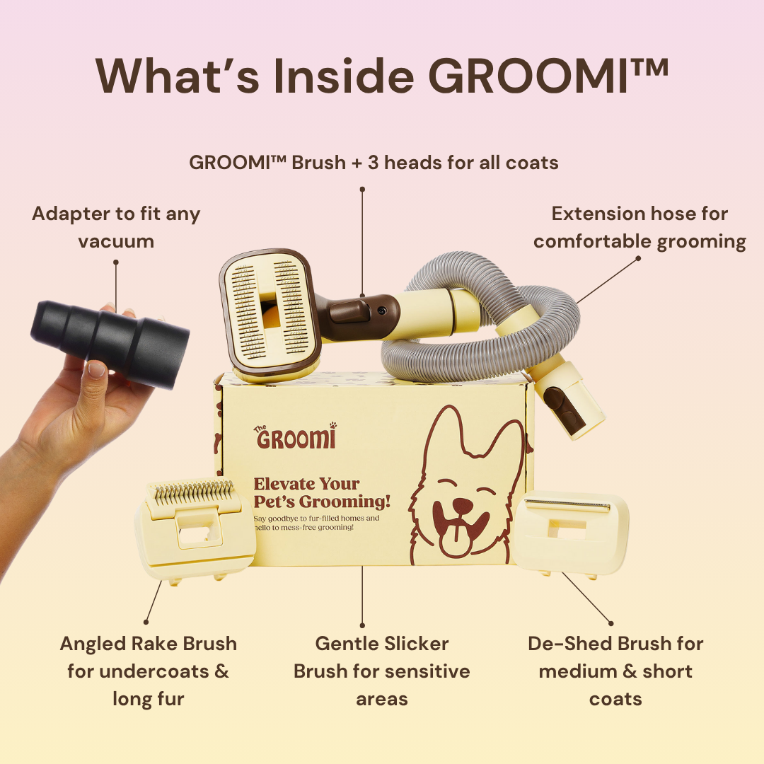 THE GROOMI: GROOMI 3-in-1 Vacuum Pet Brush Kit — self-cleaning dog grooming brush, slicker rake deshed heads, fits any vacuum up to 45mm, removes loose fur, mess-free de-shedding, for short medium long coats, reduces shedding allergies, at-home grooming tool.