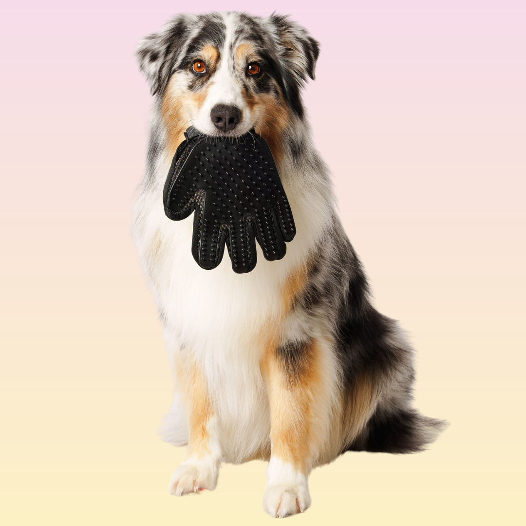 THE GROOMI: Groomi Grooming Gloves — silicone bath/de-shedding gloves, deep clean, lifts loose fur and dirt, quick lather, non-slip, mess-free bathing, improves coat health, for dogs & cats, ideal for medium-long coats, easy at-home grooming.