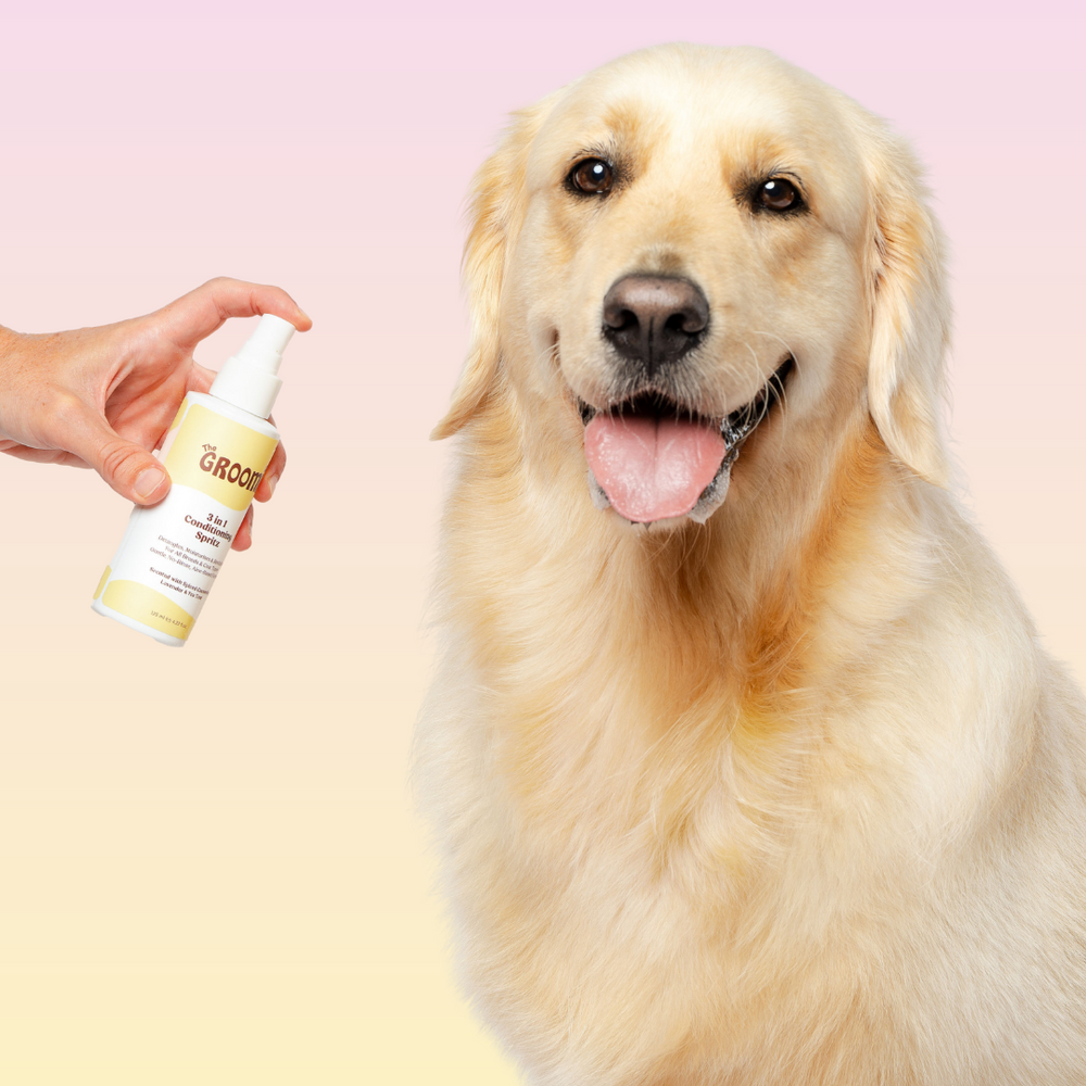 THE GROOMI: 3-in-1 Conditioning Spritz — leave-in pet conditioning spray, detangles, deodorizes, hydrates, reduces static, adds shine, quick freshen-up between baths, hypoallergenic, gentle daily use, safe for dogs & cats, grooming finisher, fresh scent.