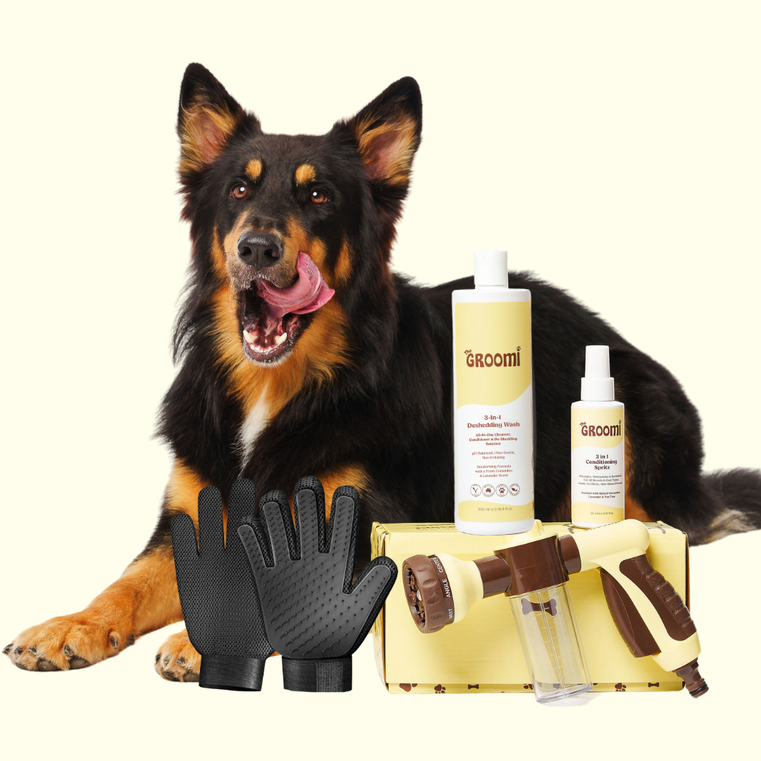 GROOMI Bath Bundle for dogs – the all-in-one dog wash kit with Hydro Hound sprayer, Deshedding Wash, 3-in-1 Spritz, and Grooming Gloves. Enjoy easy, mess-free dog baths at home. Perfect for shedding dogs. On sale now with up to 50% off and free shipping across Australia and worldwide.