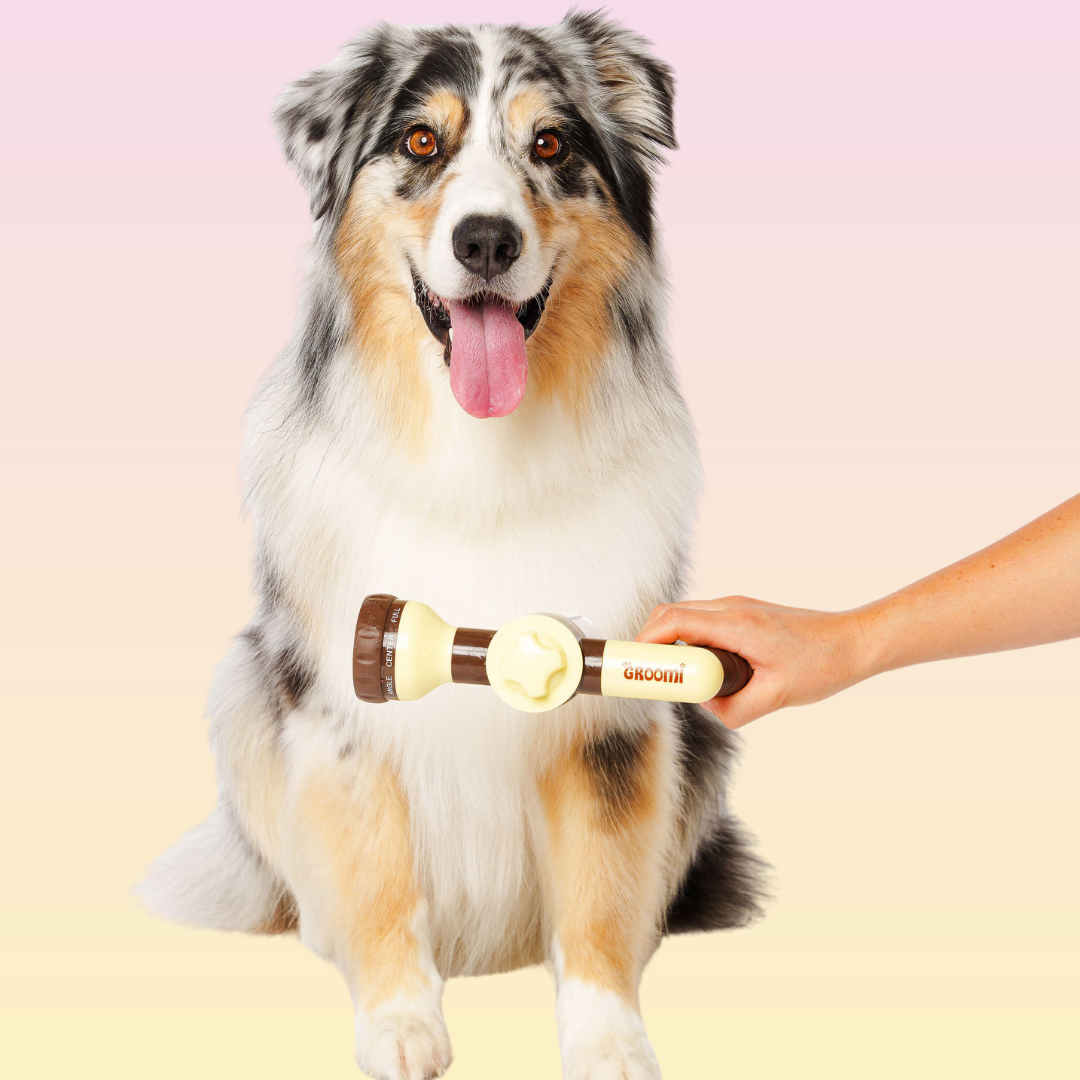 THE GROOMI: Hydro Hound — dog wash hose sprayer with foaming soap bottle, attaches to garden tap, adjustable spray, fast deep clean, removes mud and loose fur, mess-free bath, all breeds, at-home grooming, durable leak-proof fittings, saves time and water.