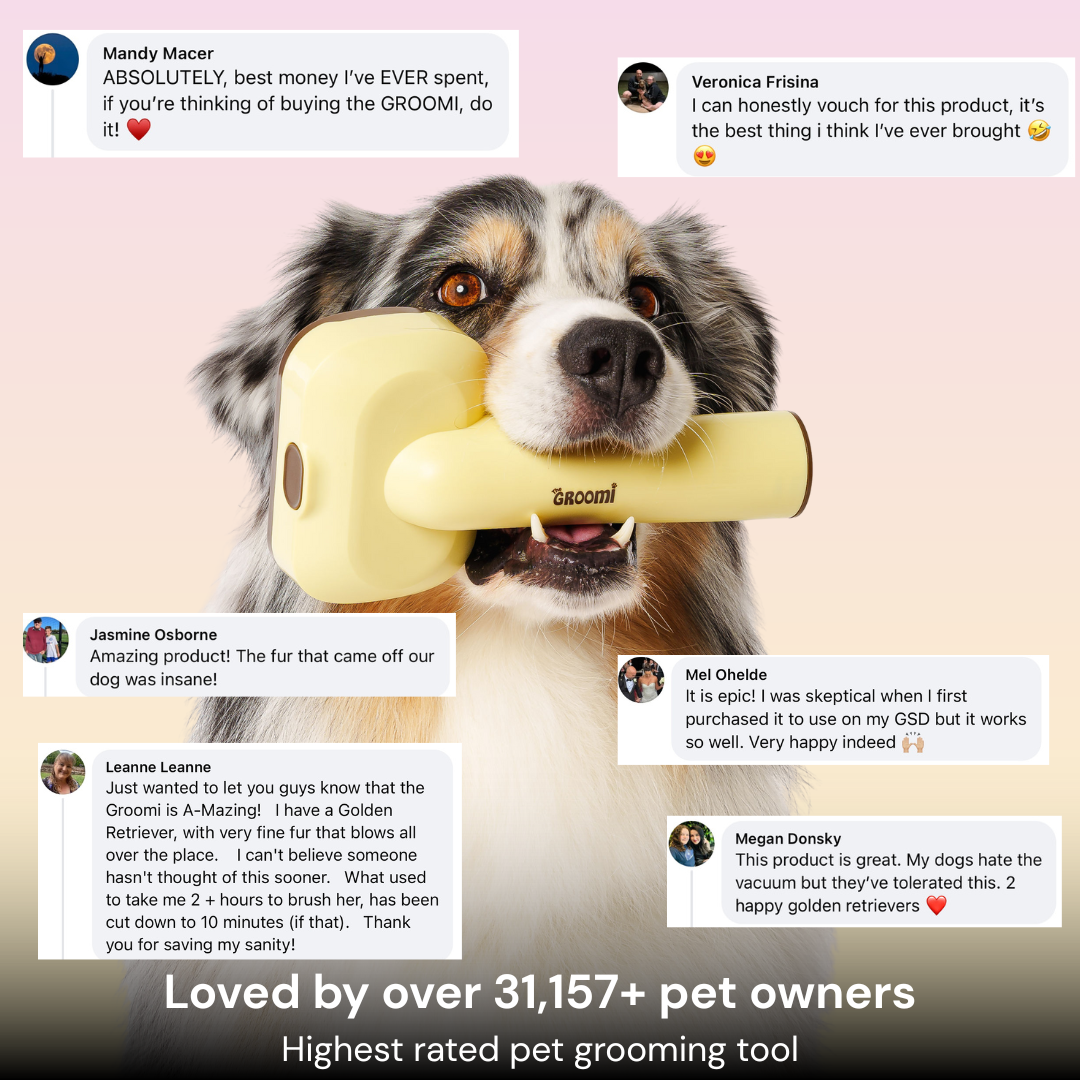 THE GROOMI: GROOMI 3-in-1 Vacuum Pet Brush Kit — self-cleaning dog grooming brush, slicker rake deshed heads, fits any vacuum up to 45mm, removes loose fur, mess-free de-shedding, for short medium long coats, reduces shedding allergies, at-home grooming tool.