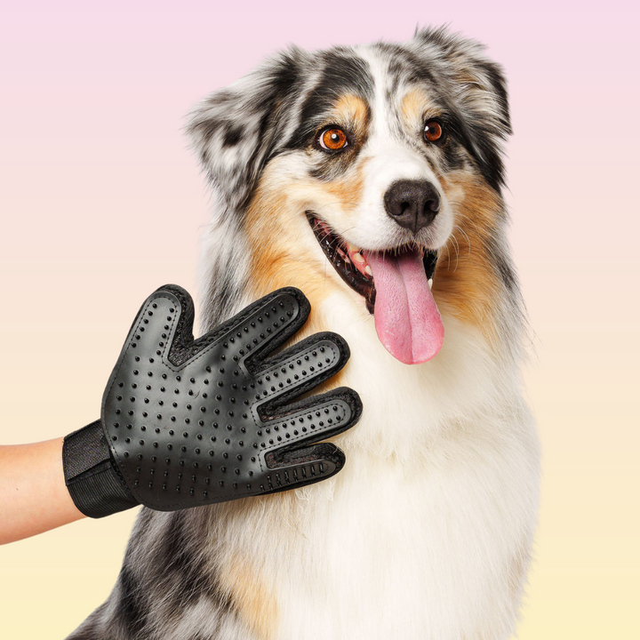 THE GROOMI: Groomi Grooming Gloves — silicone bath/de-shedding gloves, deep clean, lifts loose fur and dirt, quick lather, non-slip, mess-free bathing, improves coat health, for dogs & cats, ideal for medium-long coats, easy at-home grooming.