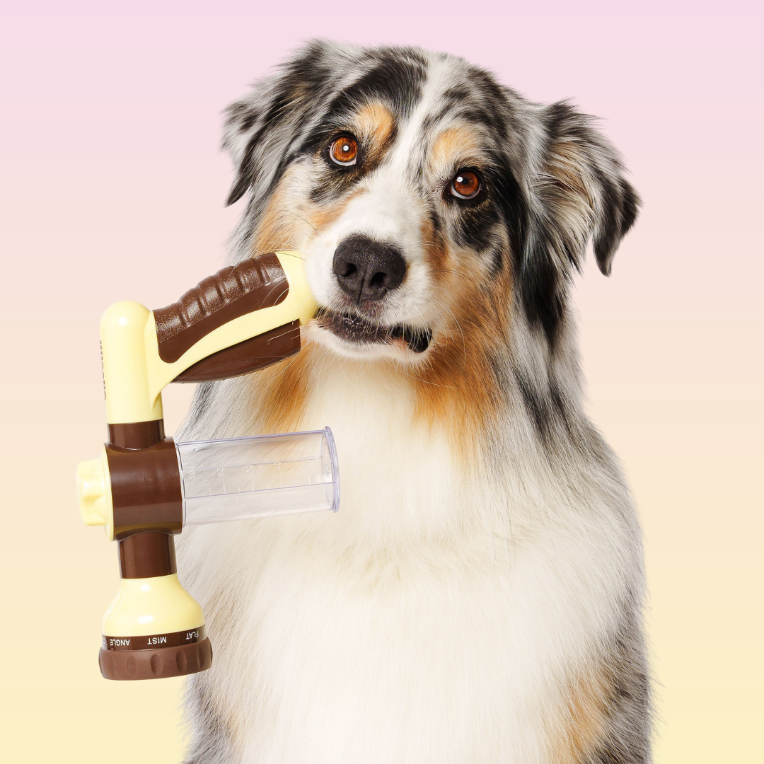 THE GROOMI: Hydro Hound — dog wash hose sprayer with foaming soap bottle, attaches to garden tap, adjustable spray, fast deep clean, removes mud and loose fur, mess-free bath, all breeds, at-home grooming, durable leak-proof fittings, saves time and water.