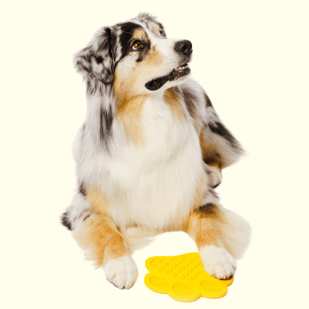 GROOMI Lick Mat: A playful, easy-to-use mat designed for pet grooming. Smear with treats to distract and calm your pet. It's celebrated for keeping pets engaged, promoting dental health with its textured design, and offers hassle-free cleaning with strong suction backing and dishwasher-safe material. Features include a money-back guarantee and free shipping.
