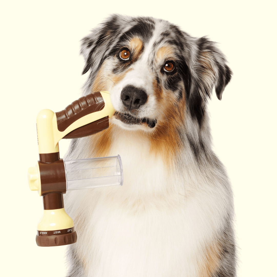 Discover the ultimate Groomi bundle! Includes the GROOMI Kit, Hydro Hound, Deshedding Wash, Spritz. Enjoy up to 50% off, FREE shipping, and a bonus gift. This limited-time offer provides mess-free, quick, and gentle grooming suitable for all breeds. Vegan, organic, and designed to keep your pet calm and engaged. Shop now for professional results at home!