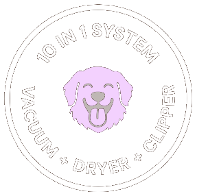 10 in 1 System