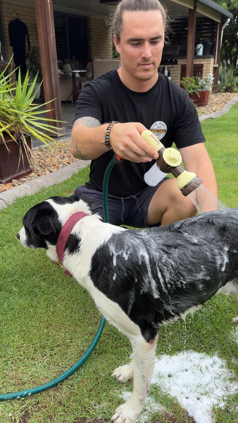 GROOMI Vacuum Grooming Tool Deshedding Brush for Dogs Cats