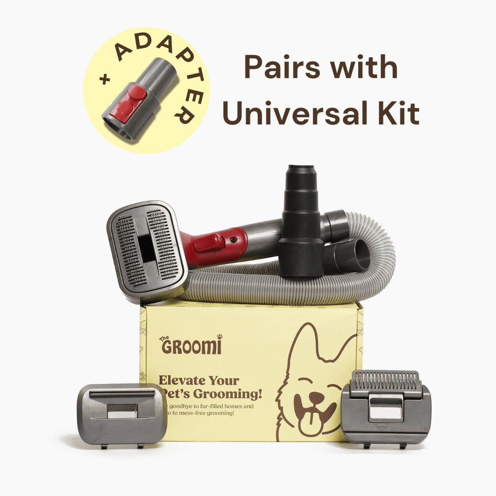 Mess-Free Dog Grooming Brushes for Australian Pet Owners | The Groomi ...