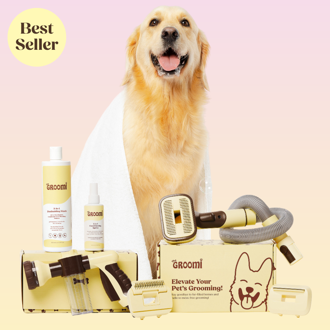 THE GROOMI: Brush & Bath Bundle — 3-in-1 vacuum pet brush + Hydro Hound sprayer + deshedding wash, mess-free grooming, removes loose fur and dirt, self-cleaning brush, fits most vacuums, fast at-home dog bath, hypoallergenic formula, for short medium long coats, reduces shedding and allergens.