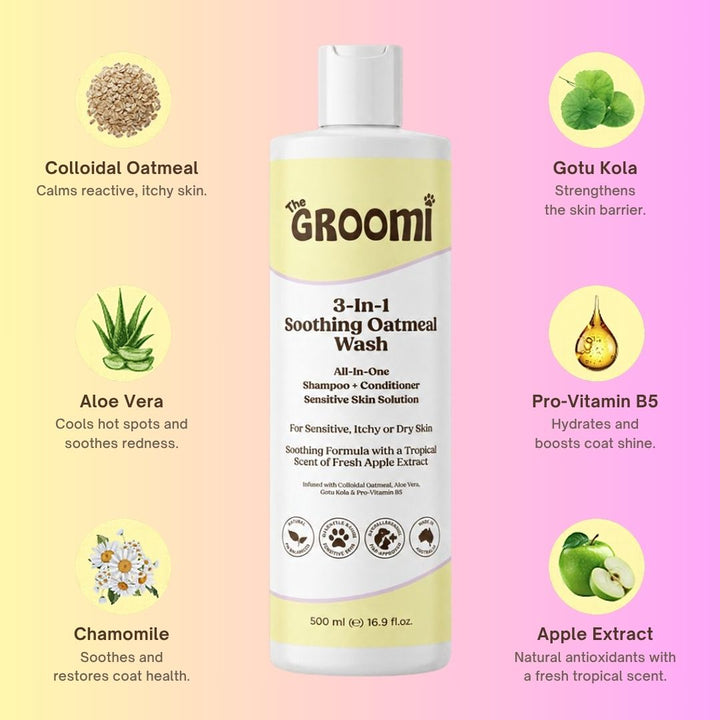 3-In-1 Soothing Oatmeal Wash by The GROOMI. Gentle all-in-one dog shampoo and conditioner with colloidal oatmeal and aloe vera that calms sensitive, itchy or dry skin.