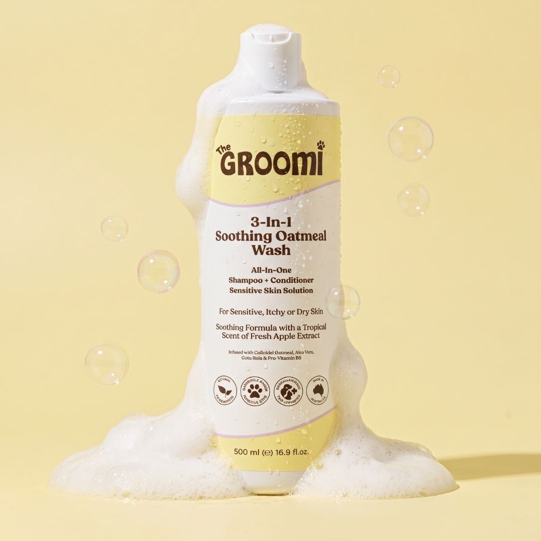 3-In-1 Soothing Oatmeal Wash by The GROOMI. Gentle all-in-one dog shampoo and conditioner with colloidal oatmeal and aloe vera that calms sensitive, itchy or dry skin.