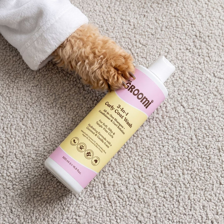 3-In-1 Curly Coat Wash by The GROOMI. All-in-one dog shampoo and conditioner with coconut oil and argan oil that leaves curly coats soft, silky and tangle-free.