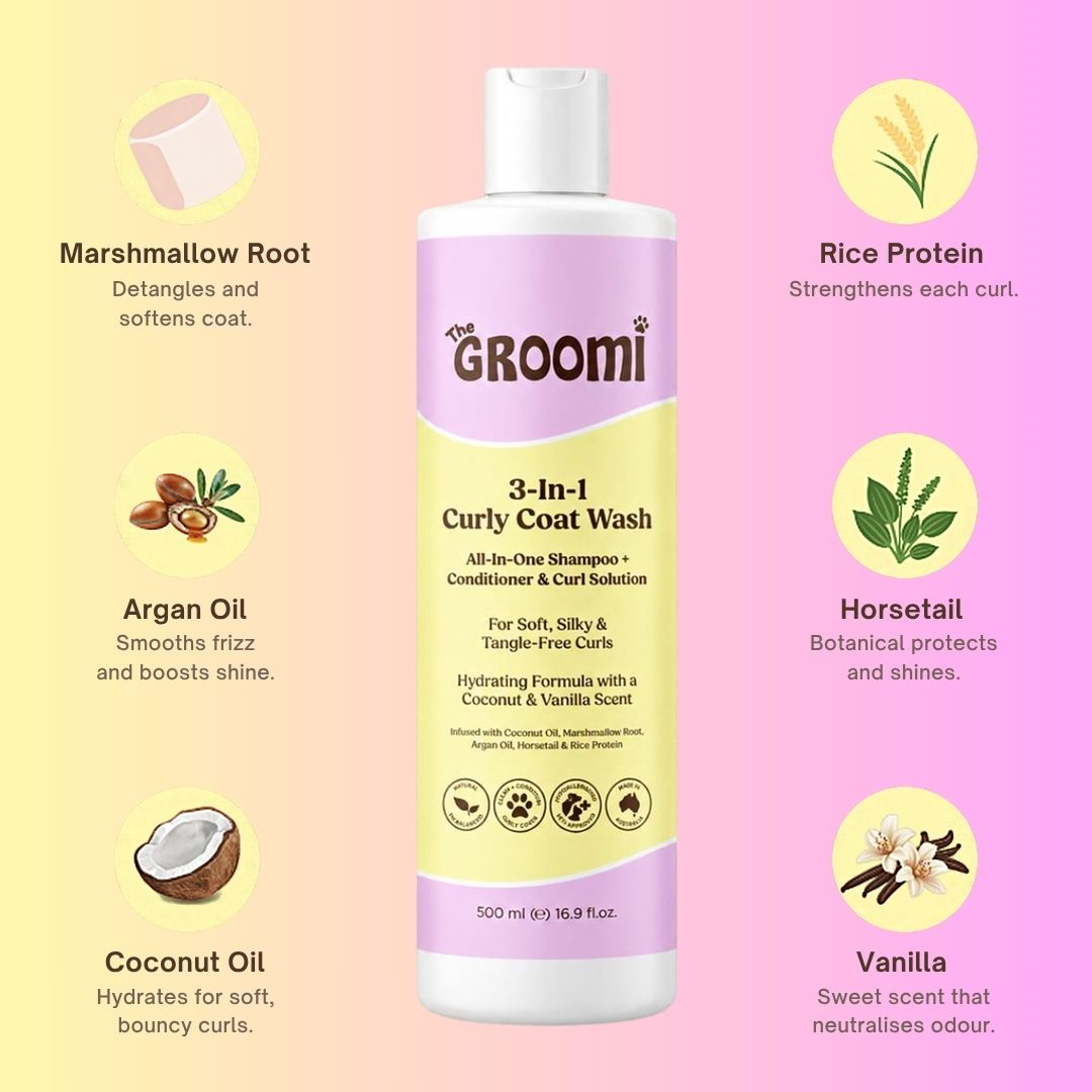 3-In-1 Curly Coat Wash by The GROOMI. All-in-one dog shampoo and conditioner with coconut oil and argan oil that leaves curly coats soft, silky and tangle-free.