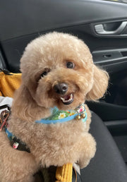 Charlie