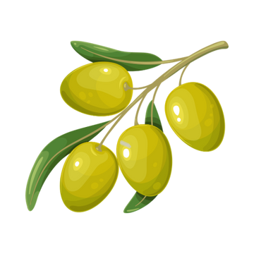 Olive Oil