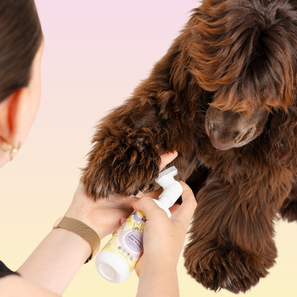 THE GROOMI: CleanPaws Foaming Paw Wash — no-rinse dog paw cleaner, foaming soap-free formula, removes mud dirt odor after walks, quick mess-free clean, gentle hypoallergenic, moisturising, safe for puppies, travel-friendly 120ml, pet grooming essentials.