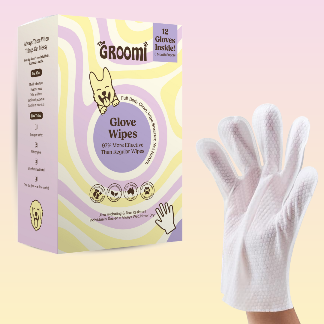 THE GROOMI: Groomi Glove Wipes — glove-shaped pet cleaning wipes, rinse-free full-body clean, removes dirt and odor, durable soft non-tearing, individually sealed, hydrating, hypoallergenic, for dogs & cats, travel friendly, quick cleanup between baths, grooming essentials.