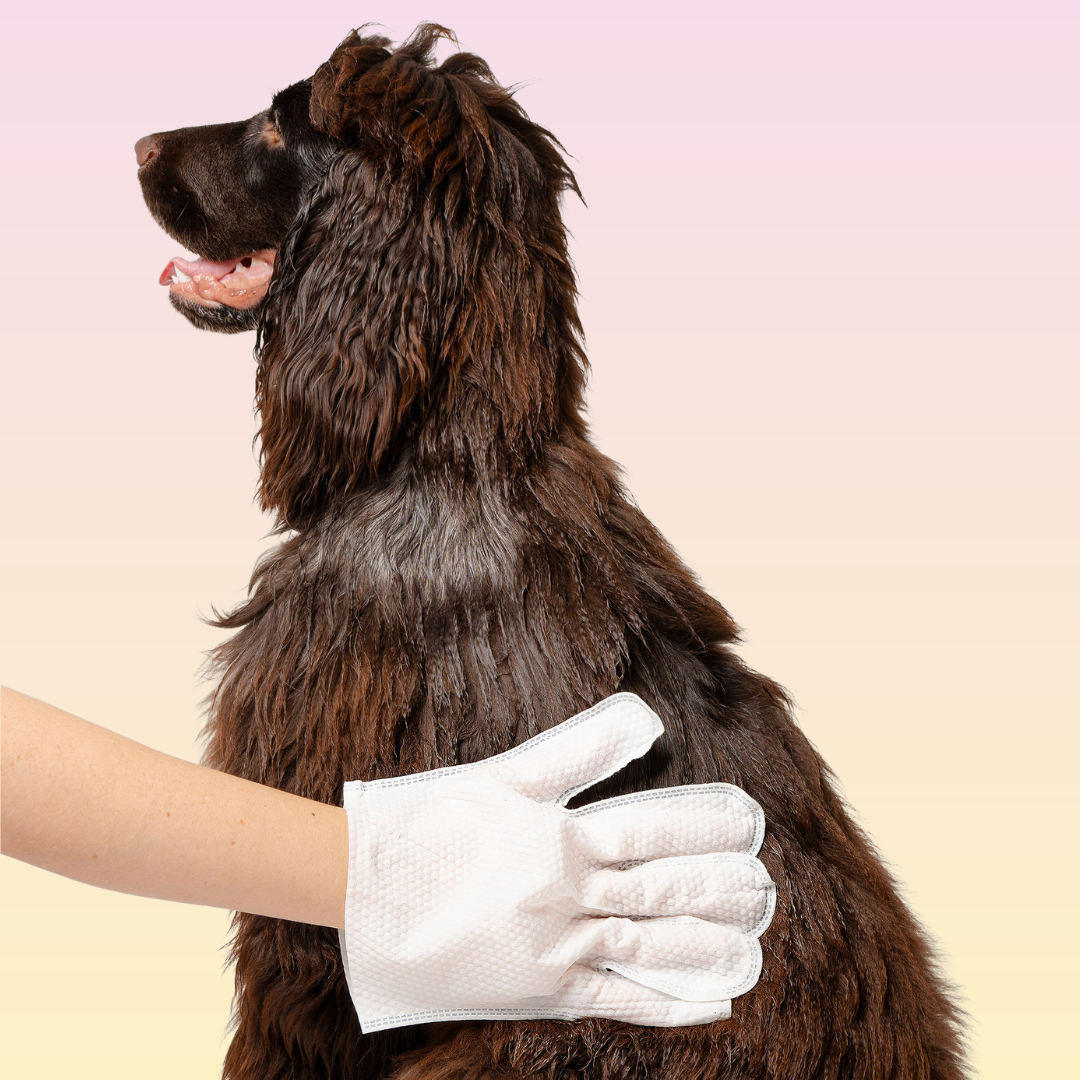 THE GROOMI: Groomi Glove Wipes — glove-shaped pet cleaning wipes, rinse-free full-body clean, removes dirt and odor, durable soft non-tearing, individually sealed, hydrating, hypoallergenic, for dogs & cats, travel friendly, quick cleanup between baths, grooming essentials.