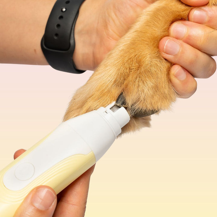 GROOMI 4-in-1 Pet Trimmer & Nail Kit: premium cordless PawSafe grooming tool for dogs and cats with precision heads for paws, body and nails, beginner-friendly design, quiet motor, safe nail guard and stainless-steel ceramic blades for stress-free grooming.