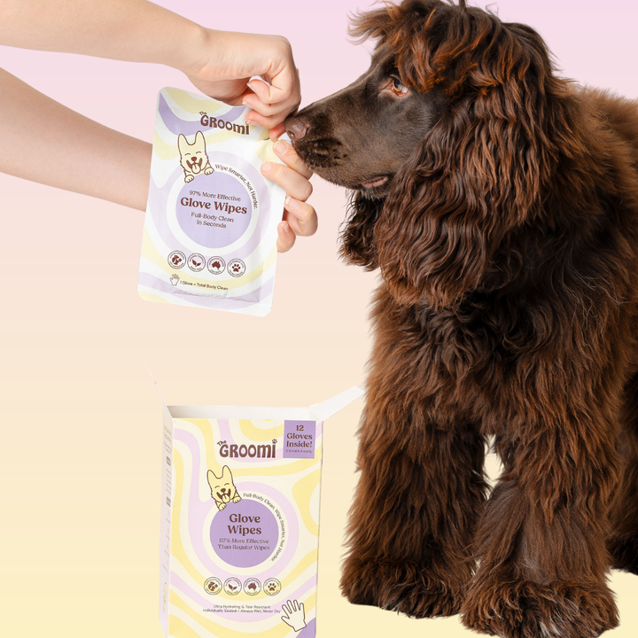 THE GROOMI: Groomi Glove Wipes — glove-shaped pet cleaning wipes, rinse-free full-body clean, removes dirt and odor, durable soft non-tearing, individually sealed, hydrating, hypoallergenic, for dogs & cats, travel friendly, quick cleanup between baths, grooming essentials.