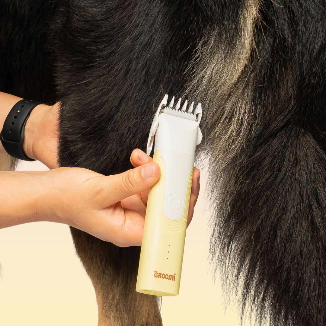 GROOMI 4-in-1 Pet Trimmer & Nail Kit: premium cordless PawSafe grooming tool for dogs and cats with precision heads for paws, body and nails, beginner-friendly design, quiet motor, safe nail guard and stainless-steel ceramic blades for stress-free grooming.