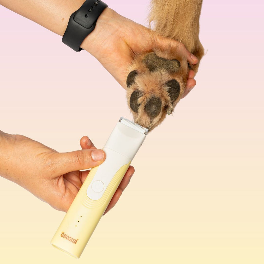 GROOMI 4-in-1 Pet Trimmer & Nail Kit: premium cordless PawSafe grooming tool for dogs and cats with precision heads for paws, body and nails, beginner-friendly design, quiet motor, safe nail guard and stainless-steel ceramic blades for stress-free grooming.