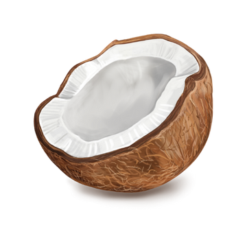 Coconut Oil
