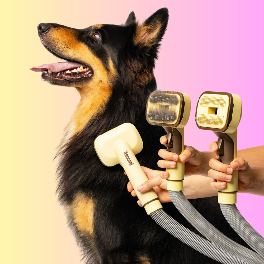 THE GROOMI: GROOMI 3-in-1 Vacuum Pet Brush Kit — self-cleaning dog grooming brush, slicker rake deshed heads, fits any vacuum up to 45mm, removes loose fur, mess-free de-shedding, for short medium long coats, reduces shedding allergies, at-home grooming tool.