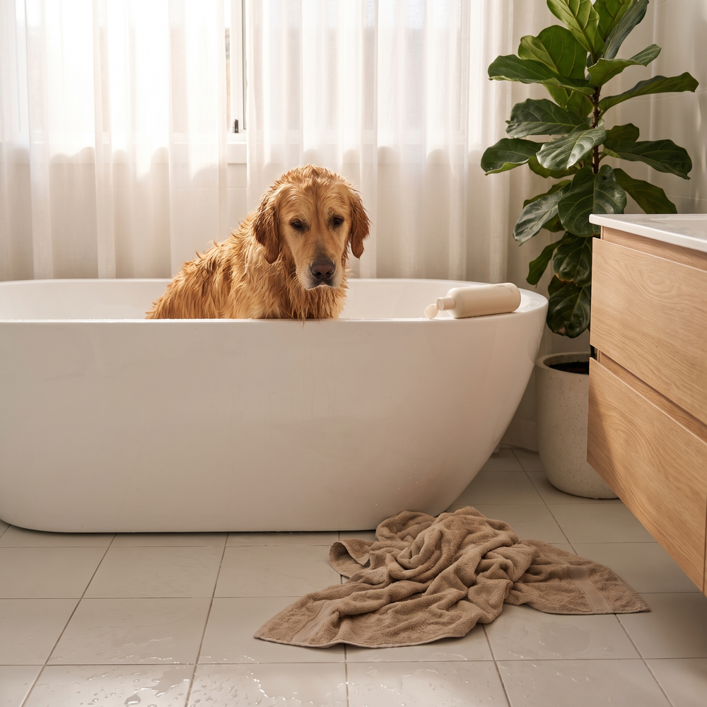 Bath time takes an hour.