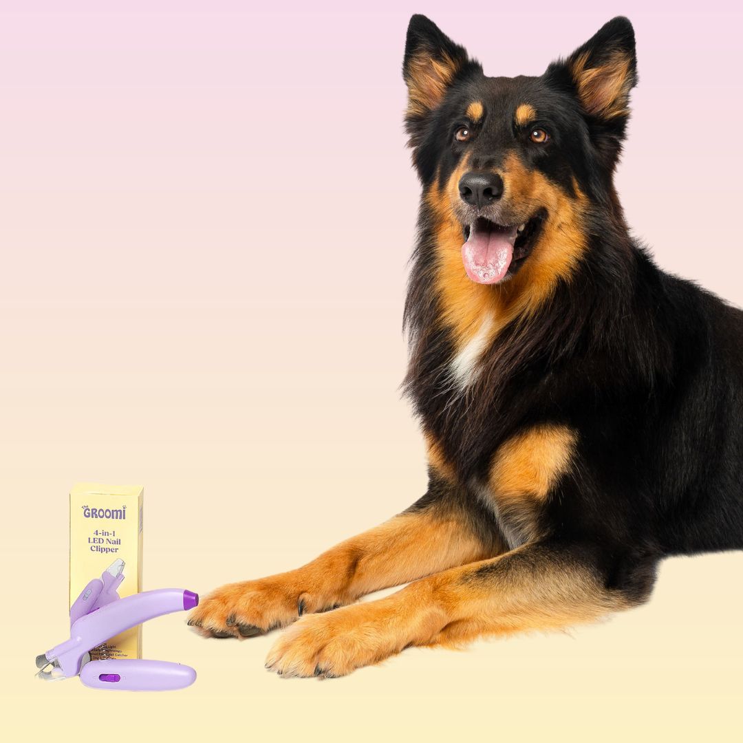 GROOMI™ 4-In-1 Nail Clipper