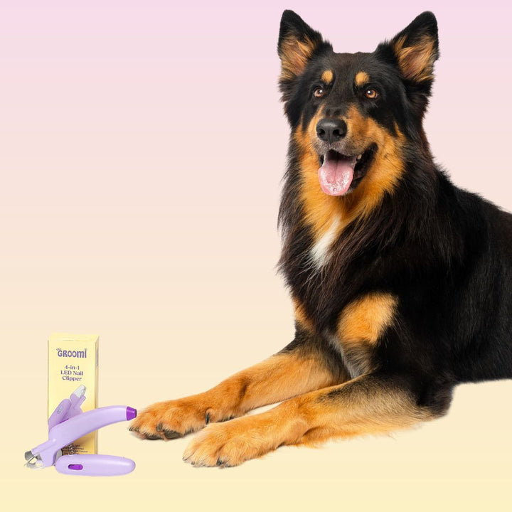 GROOMI™ 4-In-1 Nail Clipper