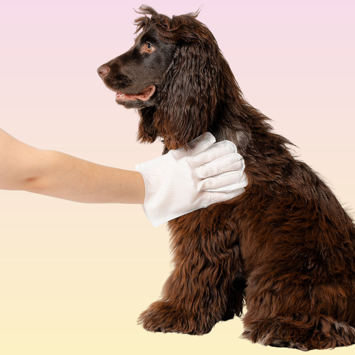 THE GROOMI: Groomi Glove Wipes — glove-shaped pet cleaning wipes, rinse-free full-body clean, removes dirt and odor, durable soft non-tearing, individually sealed, hydrating, hypoallergenic, for dogs & cats, travel friendly, quick cleanup between baths, grooming essentials.