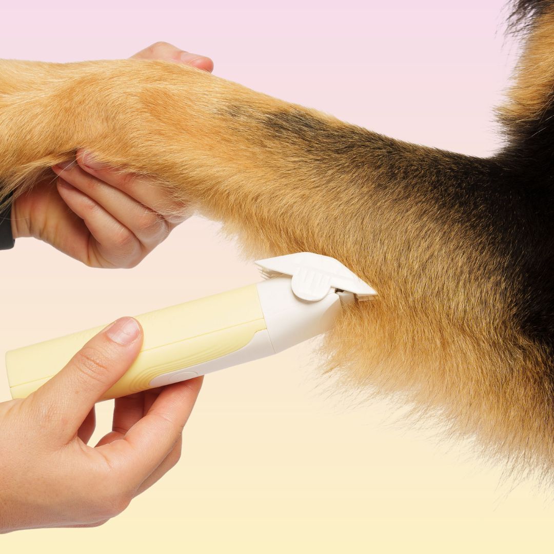 GROOMI 4-in-1 Pet Trimmer & Nail Kit: premium cordless PawSafe grooming tool for dogs and cats with precision heads for paws, body and nails, beginner-friendly design, quiet motor, safe nail guard and stainless-steel ceramic blades for stress-free grooming.