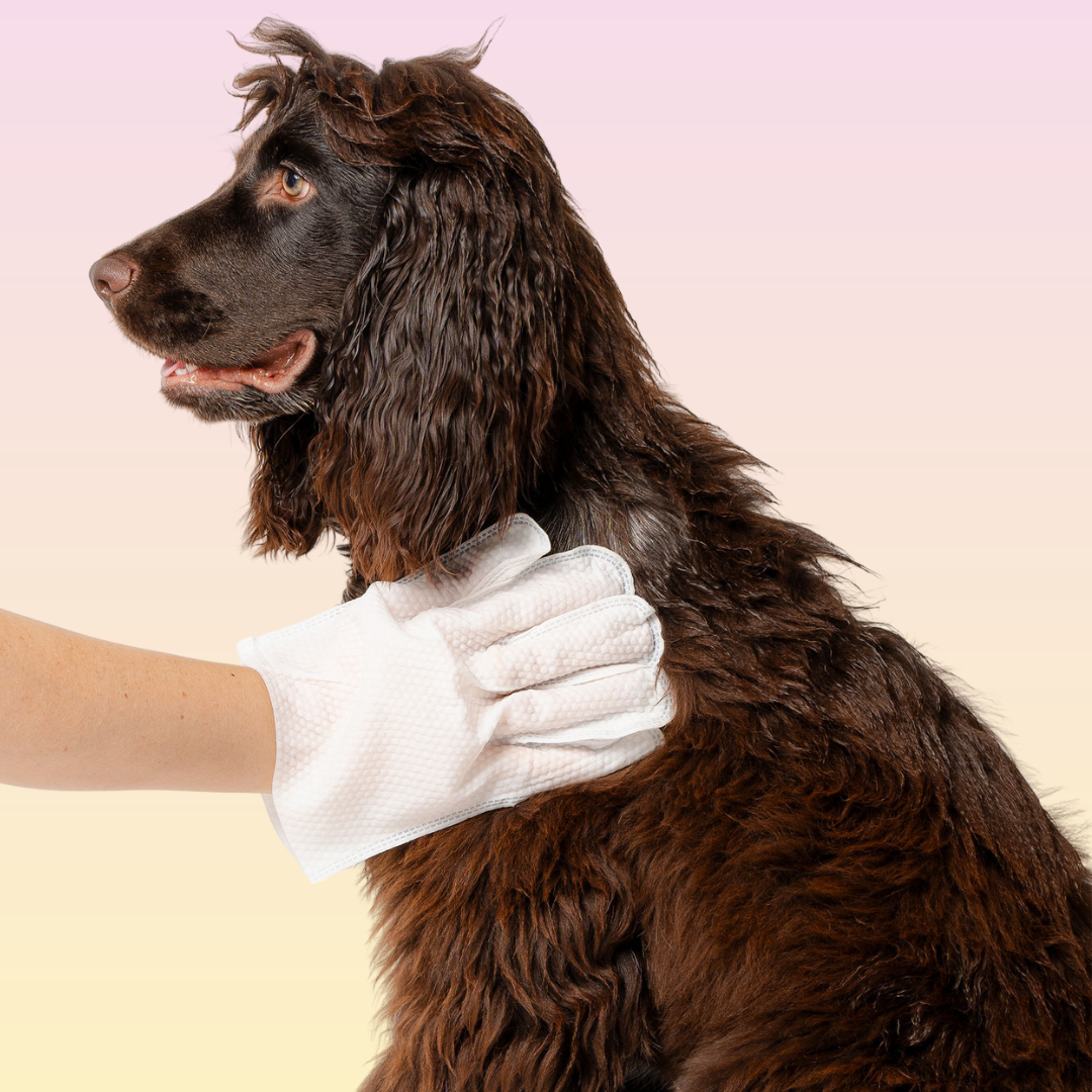 The GROOMI: dog glove wipes, pet cleaning gloves, rinse-free wipes, GROOMI wipes, full-body dog cleaner, quick pet wash, no-rinse dog wipes, travel pet wipes, grooming glove, waterless dog wipes