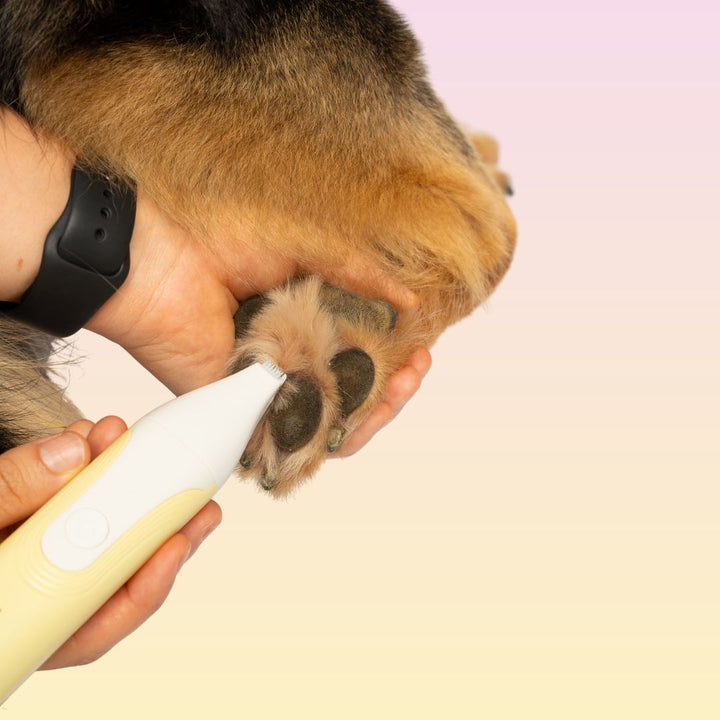 GROOMI 4-in-1 Pet Trimmer & Nail Kit: premium cordless PawSafe grooming tool for dogs and cats with precision heads for paws, body and nails, beginner-friendly design, quiet motor, safe nail guard and stainless-steel ceramic blades for stress-free grooming.